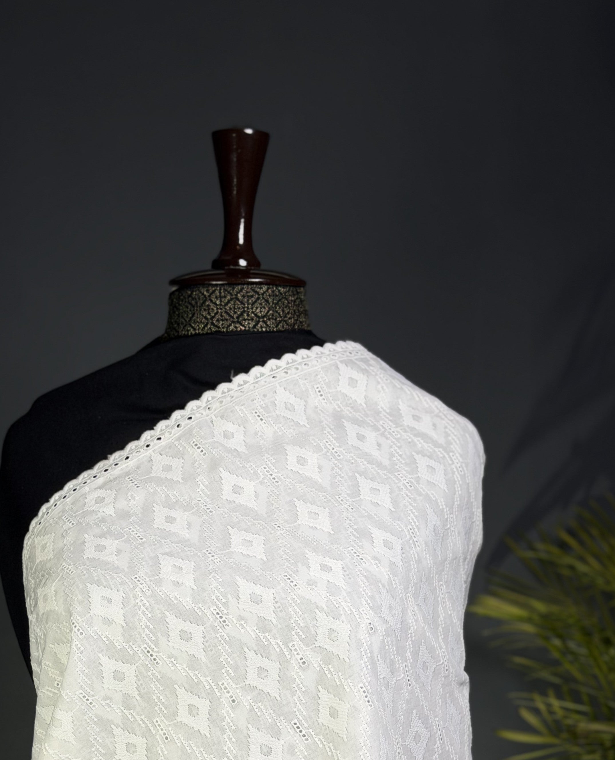 Pristine White Chikankari & Lace Detailed Shawl